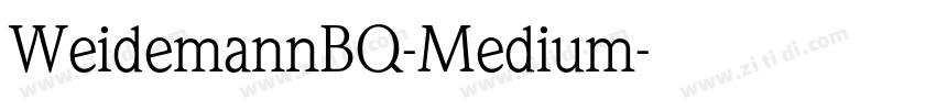 WeidemannBQ-Medium字体转换