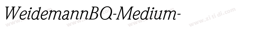 WeidemannBQ-Medium字体转换