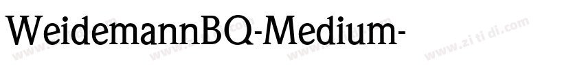 WeidemannBQ-Medium字体转换