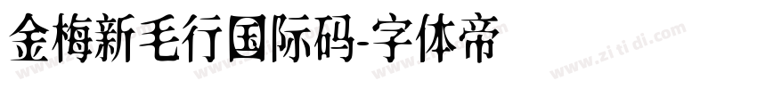 金梅新毛行国际码字体转换