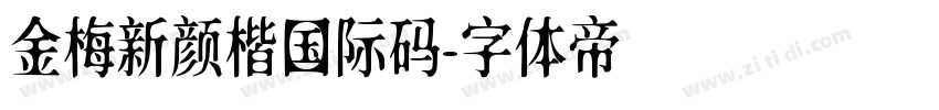 金梅新颜楷国际码字体转换