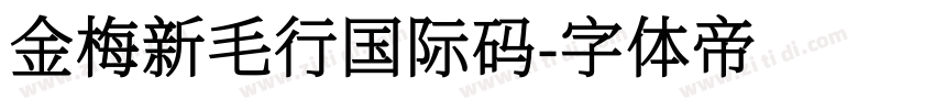 金梅新毛行国际码字体转换