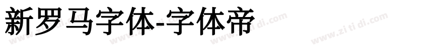 新罗马字体字体转换