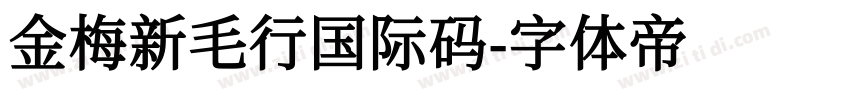 金梅新毛行国际码字体转换