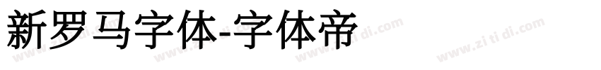 新罗马字体字体转换