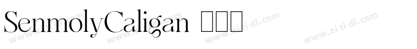 SenmolyCaligan字体转换