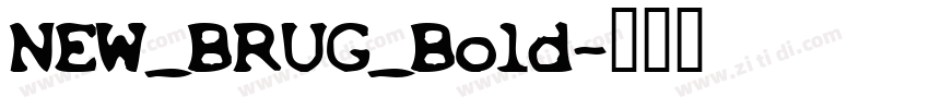 NEW_BRUG_Bold字体转换