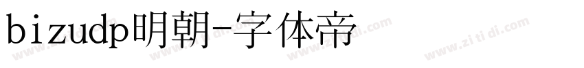 bizudp明朝字体转换