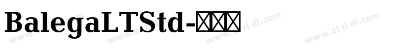 BalegaLTStd字体转换