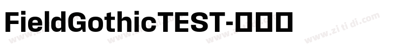 FieldGothicTEST字体转换