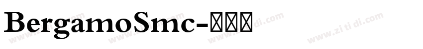 BergamoSmc字体转换