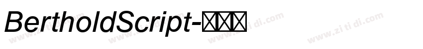 BertholdScript字体转换