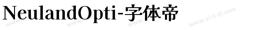 NeulandOpti字体转换