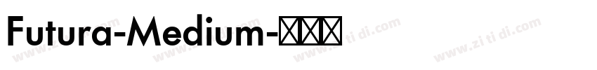 Futura-Medium字体转换