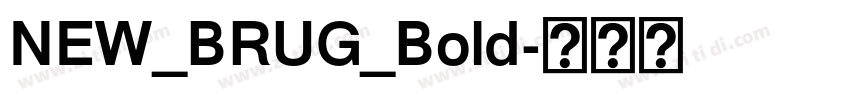 NEW_BRUG_Bold字体转换