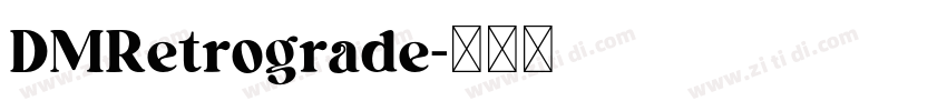 DMRetrograde字体转换