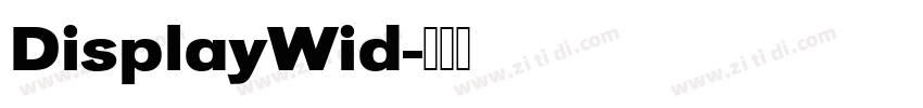 DisplayWid字体转换