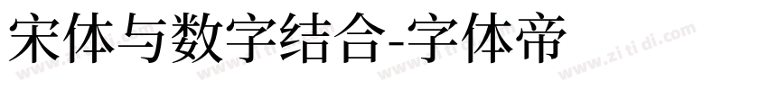 宋体与数字结合字体转换