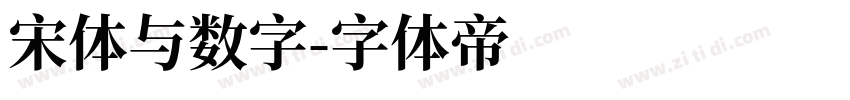 宋体与数字字体转换