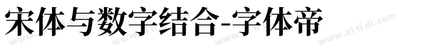 宋体与数字结合字体转换