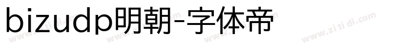 bizudp明朝字体转换