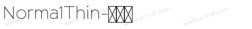 Norma1Thin字体转换