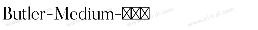 Butler-Medium字体转换