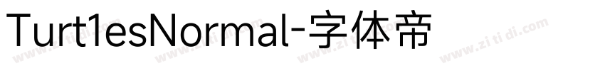 Turt1esNormal字体转换