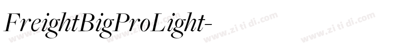 FreightBigProLight字体转换