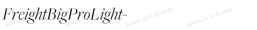 FreightBigProLight字体转换