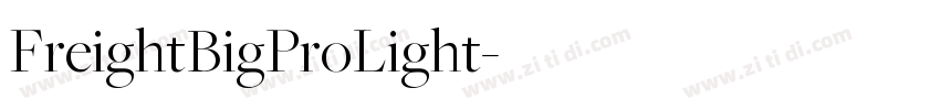 FreightBigProLight字体转换