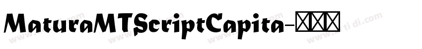 MaturaMTScriptCapita字体转换