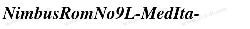 NimbusRomNo9L-MedIta字体转换