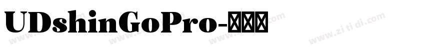 UDshinGoPro字体转换