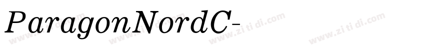 ParagonNordC字体转换