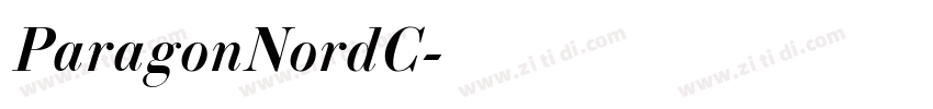 ParagonNordC字体转换