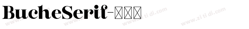 BucheSerif字体转换