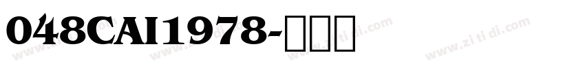 048CAI1978字体转换