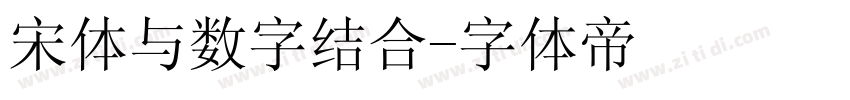 宋体与数字结合字体转换