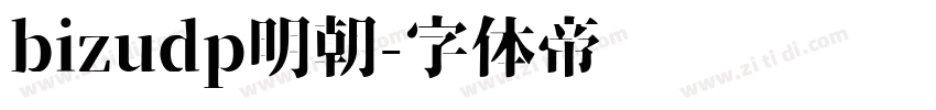 bizudp明朝字体转换