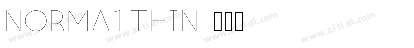 Norma1Thin字体转换