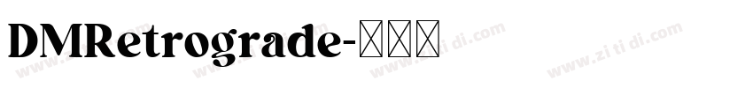 DMRetrograde字体转换
