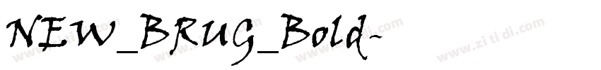 NEW_BRUG_Bold字体转换