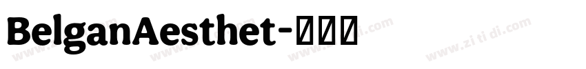 BelganAesthet字体转换