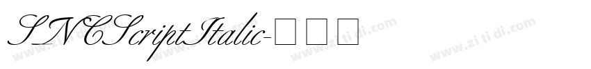 SNCScriptItalic字体转换