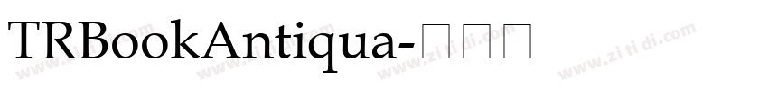 TRBookAntiqua字体转换