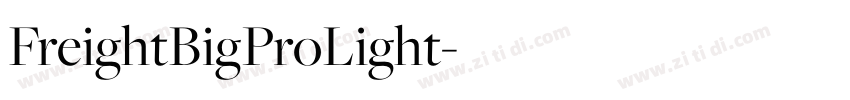 FreightBigProLight字体转换