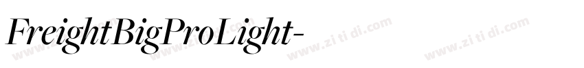 FreightBigProLight字体转换