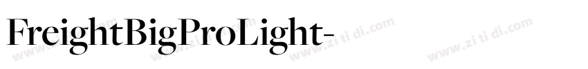 FreightBigProLight字体转换