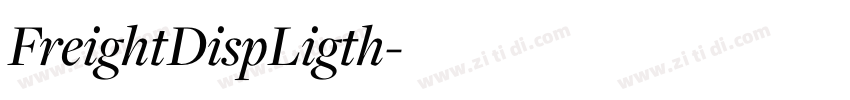 FreightDispLigth字体转换